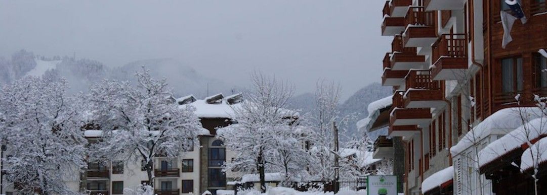 Evergreen Aparthotel 3*